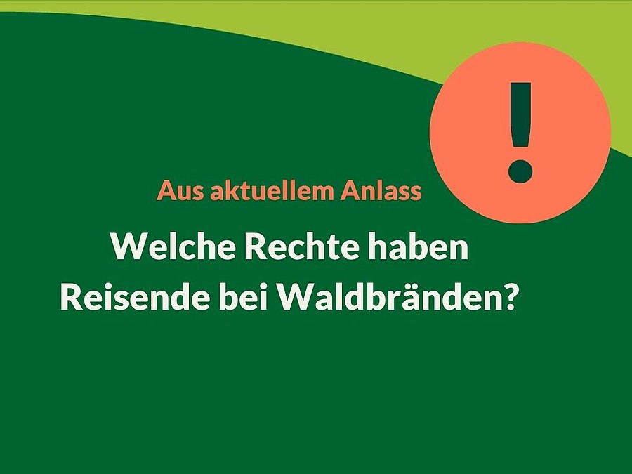 Auf dunkelgrünem Hintergrund steht "Aus aktuellem Anlass: Welche Rechte haben Reisende bei Waldbränden?"
