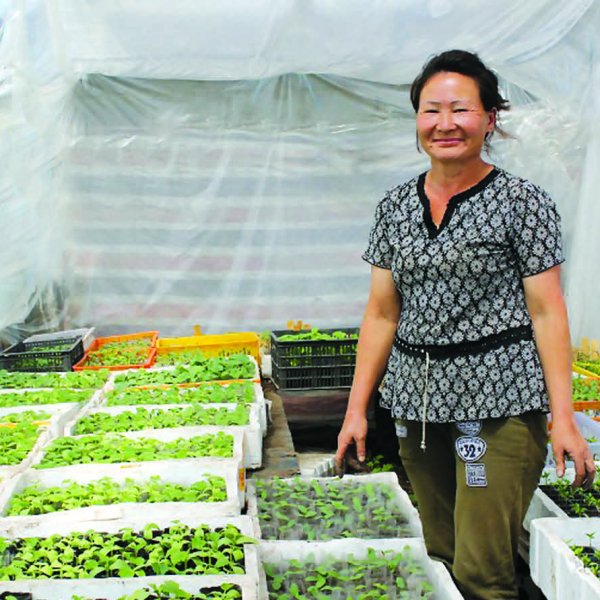 Frau Badamtsetseg Gemüsehändlerin aus der Mongolei in ihrem Betrieb